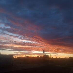 Meet your Posher, Shelby